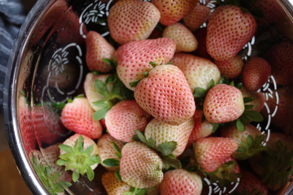 White Strawberries