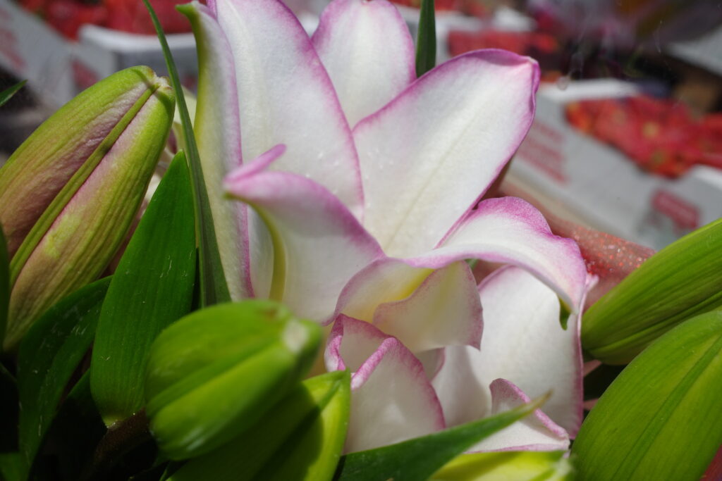 R0005013